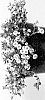 Acanthophyllum%20cerastioides%20%27JEGYPCEPLE%27