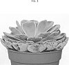 Echeveria%20secunda%20var.%20pumila%20x%20lilacina%20%27AMIECH2106%27