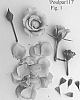 Rosa%20hybrida%20%27Poulpar117%27