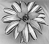 Neoregelia%20carolinae%20X%20%28Neoregelia%20hybrida%20Medium%20Rare%20X%20Neoregelia%20magdalenae%29%20%27Minerva%27