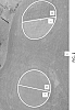 Cynodon%20transvaalensis%20x%20Cynodon%20dactylon%20%2712-TG-101%27
