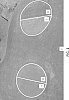 Cynodon%20transvaalensis%20x%20Cynodon%20dactylon%20%2712-TG-101%27