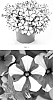 Petunia%20hybrida%20%27PEHY0076%27