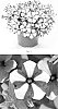Petunia%20hybrida%20%27PEHY0076%27