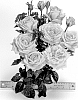Rosa%20hybrida%20%27WEKvodomer%27