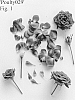 Rose%20Plant%20Named%20%27Poulty029%27