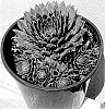 Sempervivum%20hybrida%20%27VS2023-01%27