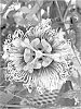Passiflora%20edulis%20%27Wellington%20101%27