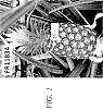 Ananas%20comosus%20%27FR11834%27