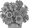 Osteospermum%20ecklonis%20%27Doostmardarli%27