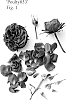 Rosa%20hybrida%20%27Poulty033%27