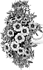 Calibrachoa%20parviflora%20%27Docalblochipepsal%27