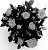 Rosa%20hybrida%20%27KORpot120%27