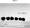 Rubus%20idaeus%20%27PS-15.031-85%27