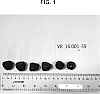 Rubus%20idaeus%20%27VR-16.001-39%27
