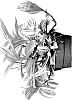 Tradescantia%20cerinthoides%20%27EC-TRAD-2303%27