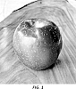 Malus%20domestica%20Mill.%20%27102543s%2F2%27