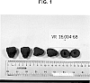 Rubus%20idaeus%20%27VR-16.004-68%27