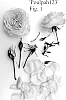 Rosa%20hybrida%20%27Poulpah123%27