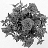 Rosa%20hybrida%20%27KORpot128%27