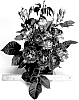 Rosa%20hybrida%20%27WEKblufstow%27