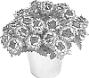 Verbena%20x%20hybrida%20%27KLEVP23124%27