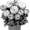 Dahlia%20variabilis%20%27Dodahyptrobre%27