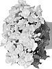 Begonia%20x%20hiemalis%20%27Dobegmotwosal%27