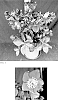 Helleborus%20ballardiae%20X%20Helleborus%20x%20hybridus%20%27HM%201224%27