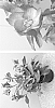 Helleborus%20ericsmithii%20X%20Helleborus%20x%20hybridus%20%27HG%201412%27