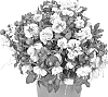 Fuchsia%20X%20hybrida%20%27Dofuchbalara%27