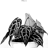 Anthurium%20magnificum%20%27BLOCANTMIC%27