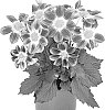 Dahlia%20variabilis%20%27Dodasumbepubi%27