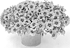 Calibrachoa%20sp.%20%27KLECA22913%27