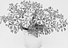 Calibrachoa%20sp.%20%27KLECA23916%27