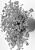 Jamesbrittenia%20hybrida%20%27INJAMLAVFL%27