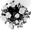 Miniature%20Rose%20Plant%20Named%20%27KORpot126%27
