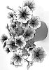 Petunia%20X%20hybrida%20%27INPETBOAUX%27