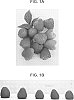 Rubus%20idaeus%20L%20%27Crimson%20Blush%27