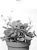 Geum%20%27MACGEU050%27