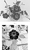 Petunia%20hybrida%20%27PEHY0089%27
