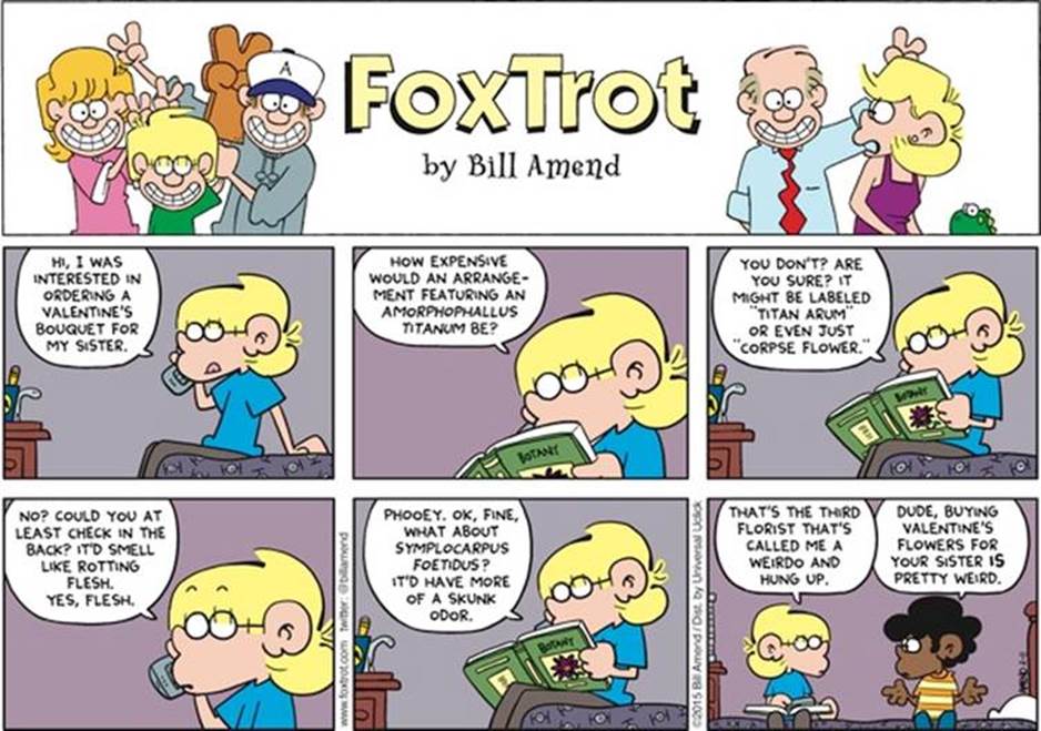 FoxTrot