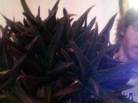 Photo 12.jpg Photo 12.jpg