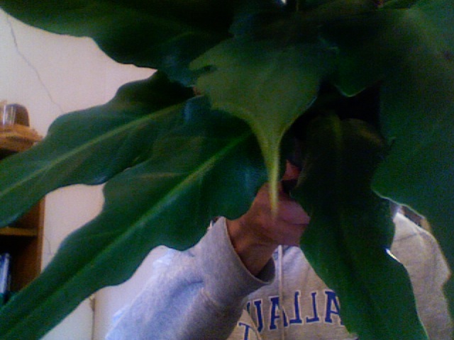 Photo 13.jpg Photo 13.jpg