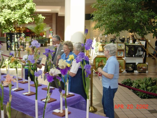 JPEG image