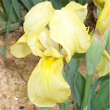 JPEG image