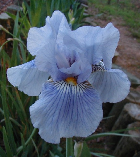 JPEG image