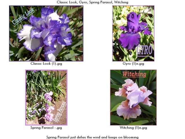 JPEG image