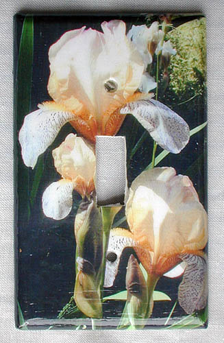 JPEG image