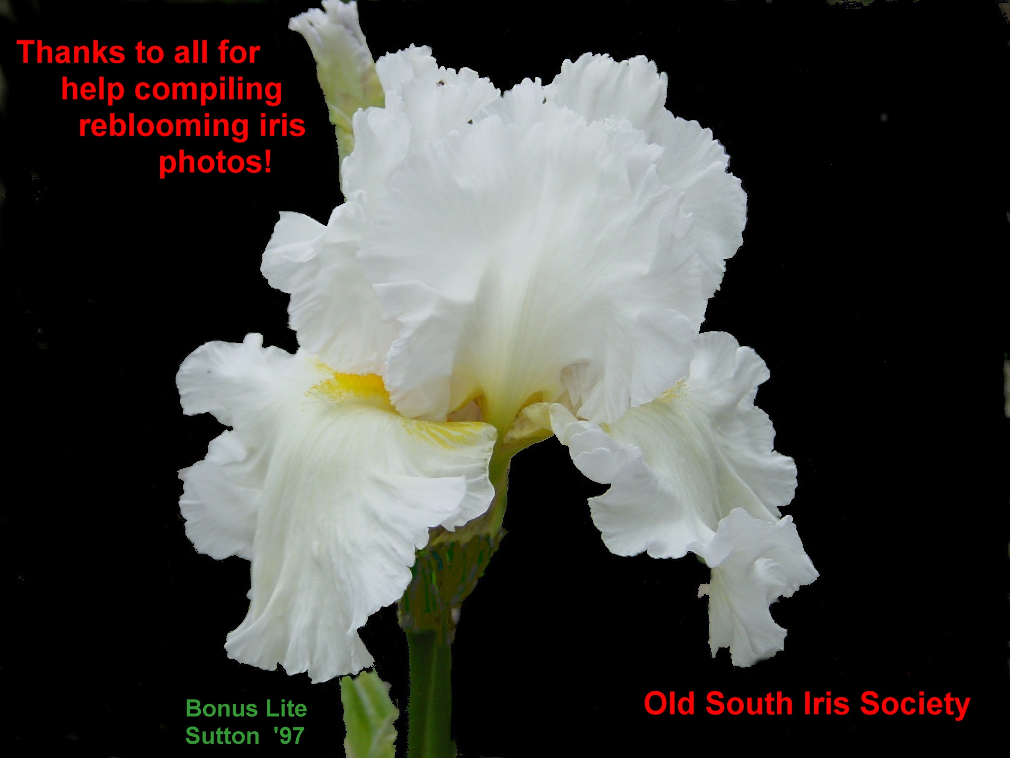 JPEG image